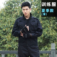 Летний, тонкий