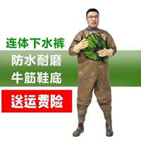 100 -й шелковые золотые перчатки живота