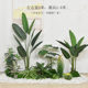 Simulated plant traveler banana loose-tailed sunflower floor-standing green plant potted indoor shop Nordic decorative ornaments
