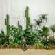 Artificial Plant Landscaping and Indoor Green Plant Arrangement