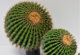 Fake Cactus, Cactus Column, Potted Cactus, Shop Window Soft Decoration, Indoor and Outdoor Artificial Green Plant Landscaping Ornaments