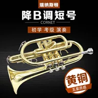 Nhạc cụ kèn ngắn lại nhạc cụ B nhạc cụ kèn chuyên nghiệp - Nhạc cụ phương Tây kèn trumpet