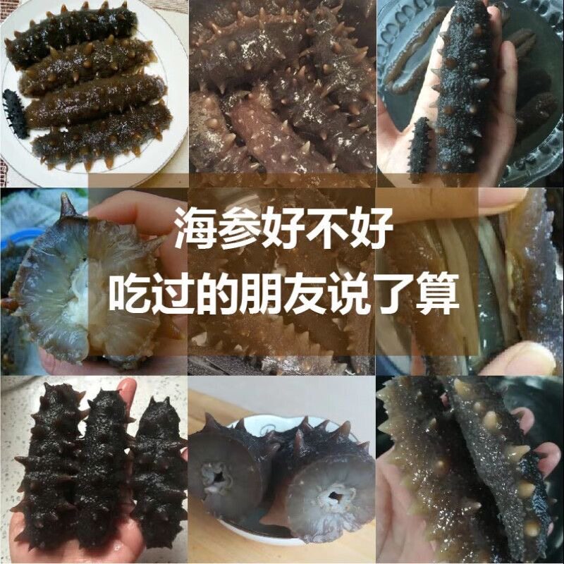 大连31年老渔民海参的LOGO