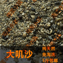 South American Water Tribe gerbil fish sand fish tank makeup sand grass tank Super tropical rainforest sand natural rat fish sand bottom sand