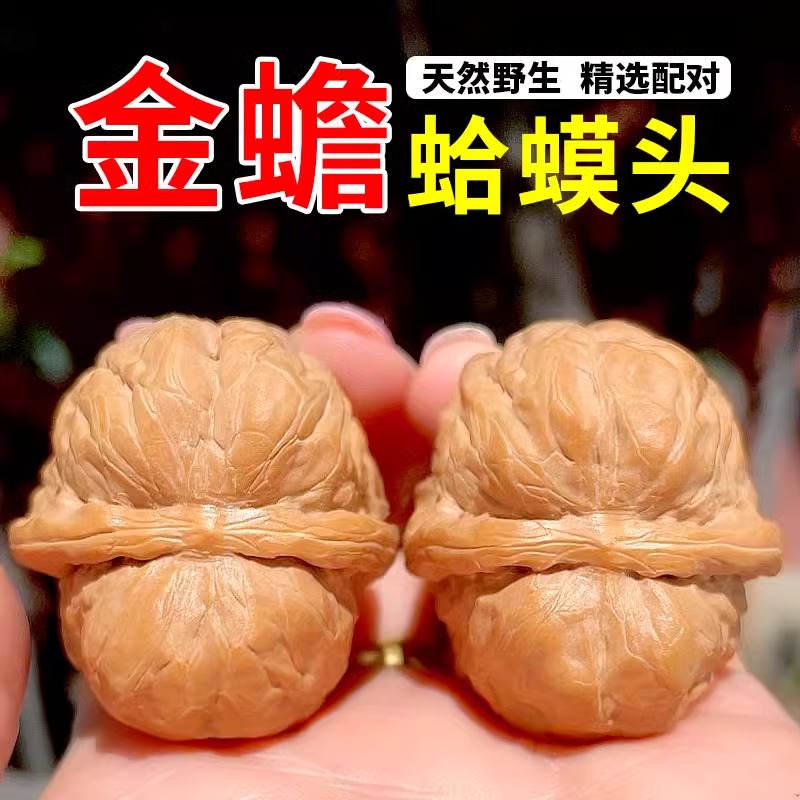 蛤蟆头 文玩 クルミ 48蛤蟆头 クルミ文玩核桃 文玩核桃蛤蟆