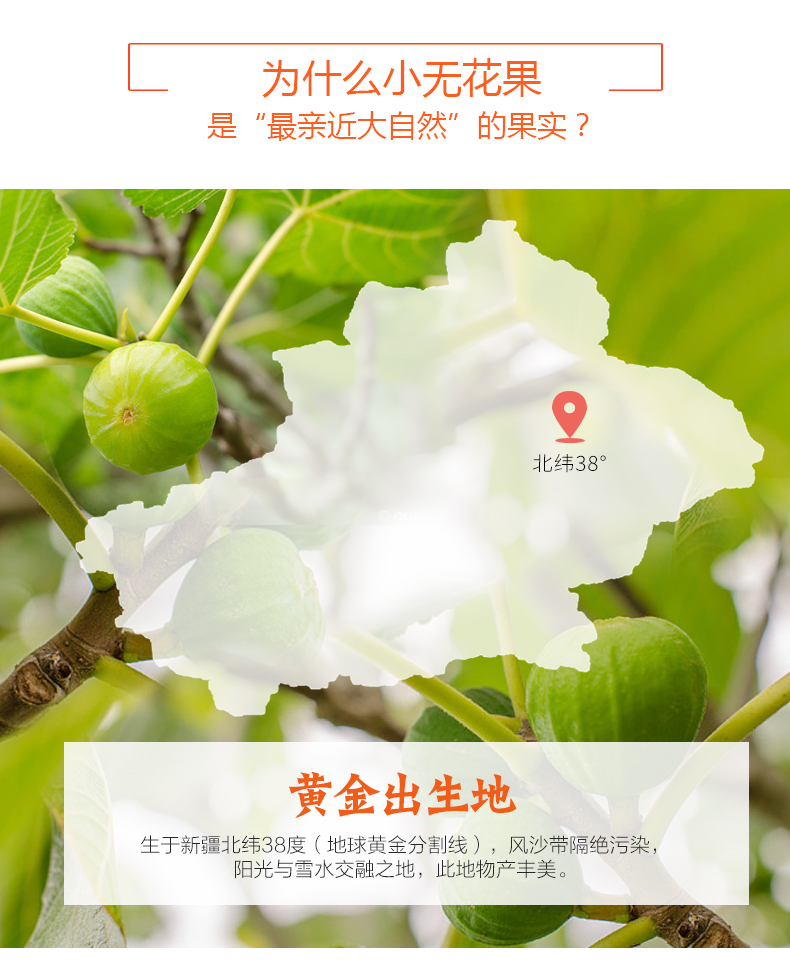 新疆特产 楼兰蜜语 无花果干 225g*2袋 图7