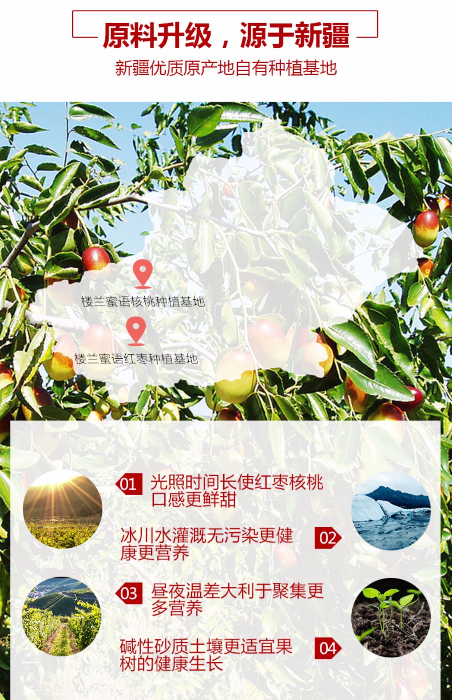 楼兰蜜语红枣夹核桃仁208gx2袋