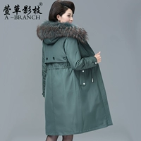 X-FDL19-10-Bean Green