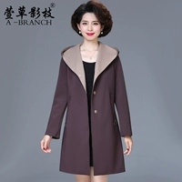 X-YY20-53-Reddish Brown