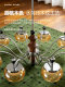 Qingyao Qingyao Vintage Living Room Chandelier 2026 New Model Light Luxury High-End Creative Persimmon Bedroom Dining Room Lamp