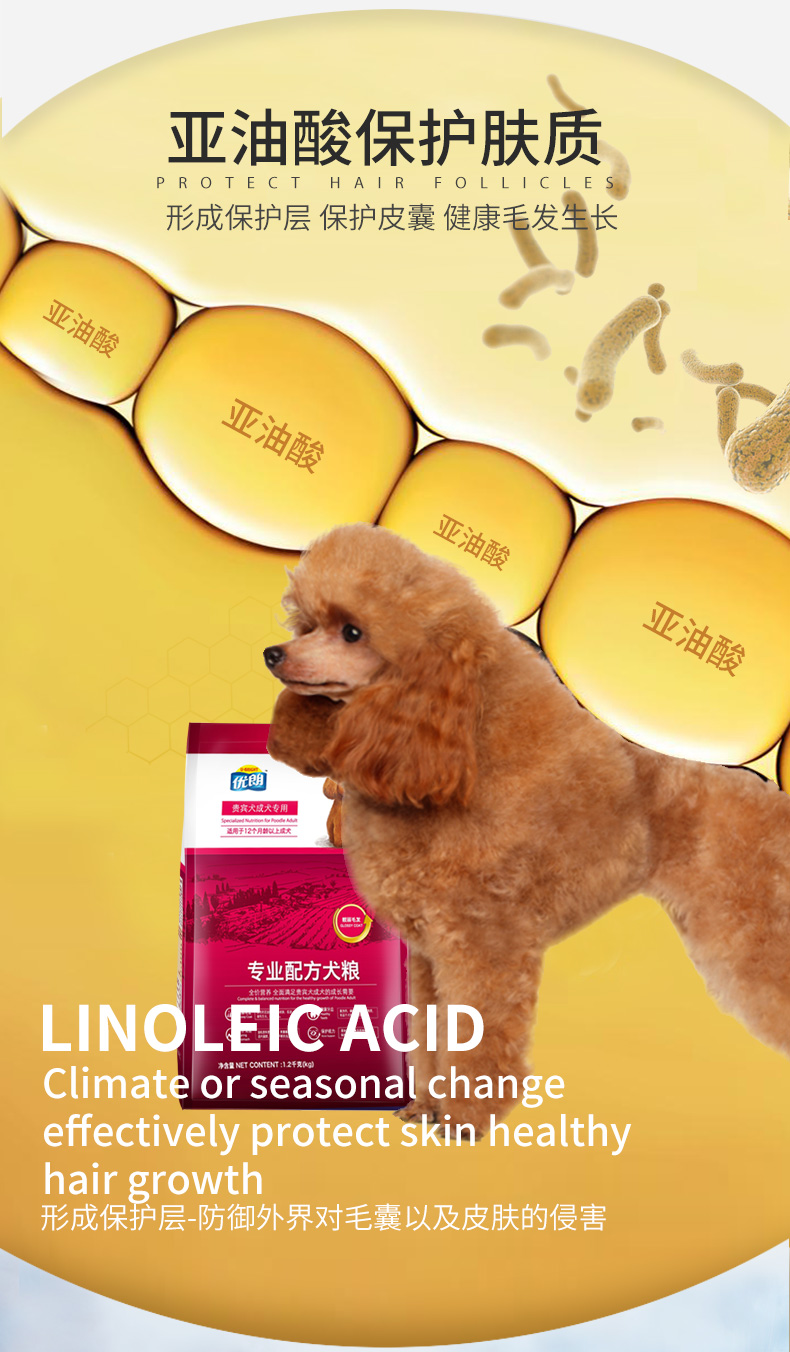 Youlang thức ăn cho chó poodle người lớn thức ăn cho chó Teddy thức ăn cho chó nhỏ thức ăn cho chó trưởng thành thức ăn cho chó loại chung 3kg - Chó Staples thức ăn chó ganador
