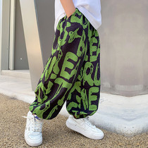 Boy Light Cage Pants Spring Summer Style Boy Long Pants Summer Mosquito and thin Loose Children Hip Hop Street Dance Pants Tide