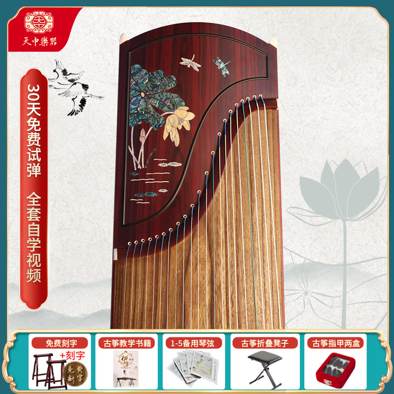 Professional school industry such as middle class color drawing solid wood guzheng entrance to adult children Indus wood beginners ancient zither red wood