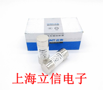 Zhengtai ceramic fuse tube RT29-125 R017 RO17 40A 500V 22*58 fuse gG