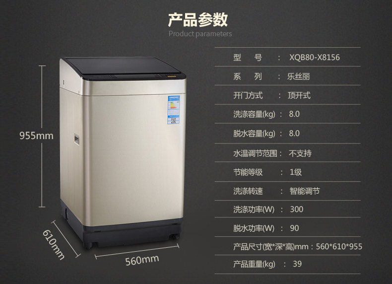 x8156_15.jpg