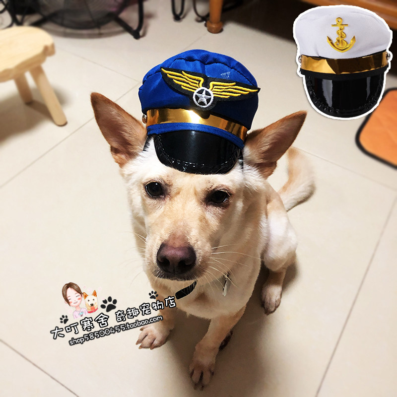 Photo artifact pet pilot sailor hat funny birthday hat party hat out hat cat dog hat