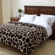 Mỹ nhung san hô chăn mảnh duy nhất của dày 1,5m flannel chăn mùa đông / 1,8 m single đôi chăn che người - Quilt Covers chăn hè everon