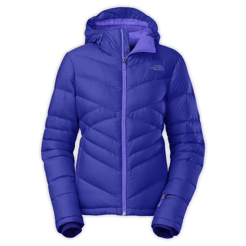 sports direct the north face