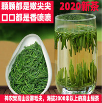 Green Tea Tea 2020 New tea Maojian Premium Bird tongue bulk Ming Qian Xinyang Maojian Biluochun Alpine Cloud Tea