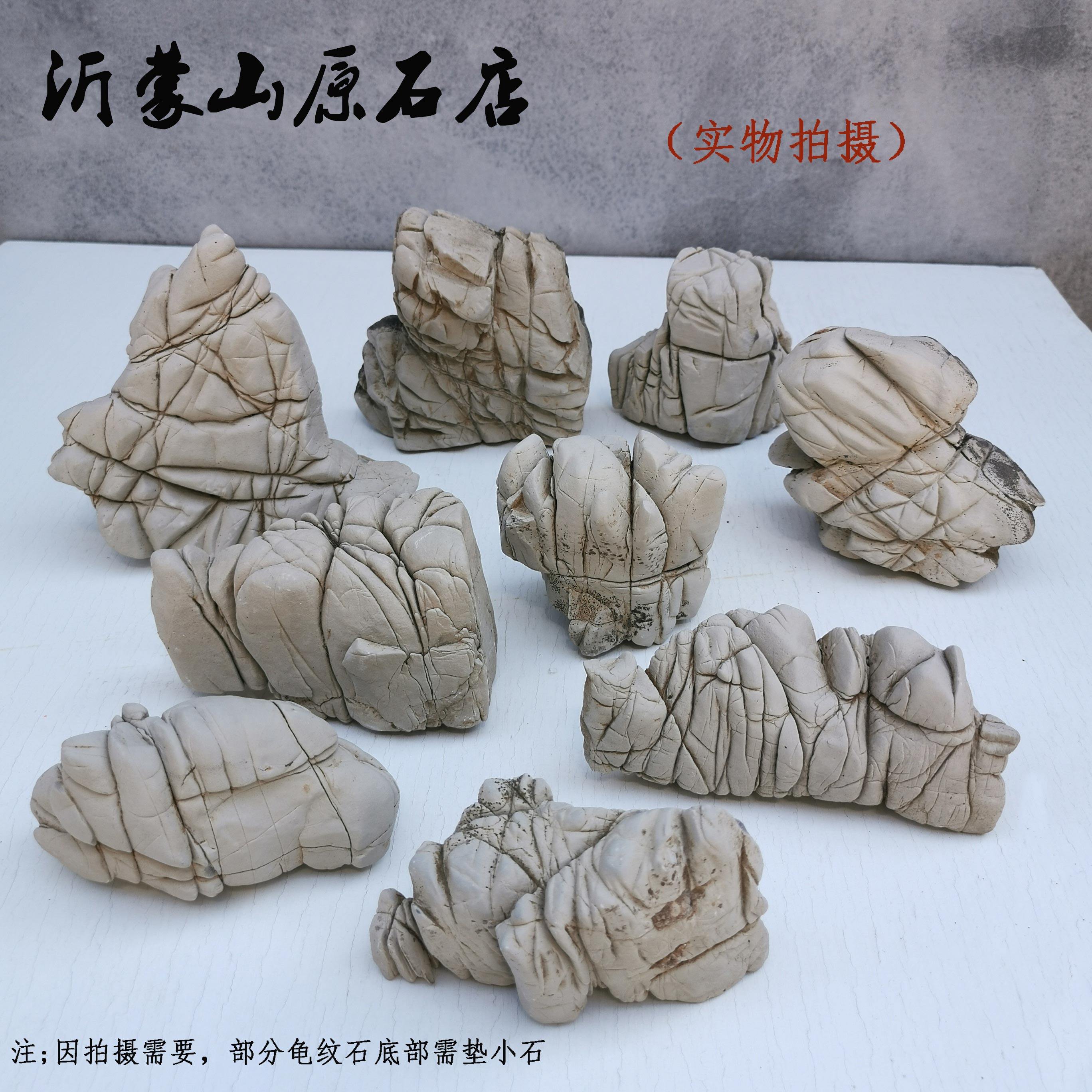 天然龜紋石造景石適用於魚缸造景微假山石擺件水族箱裝飾