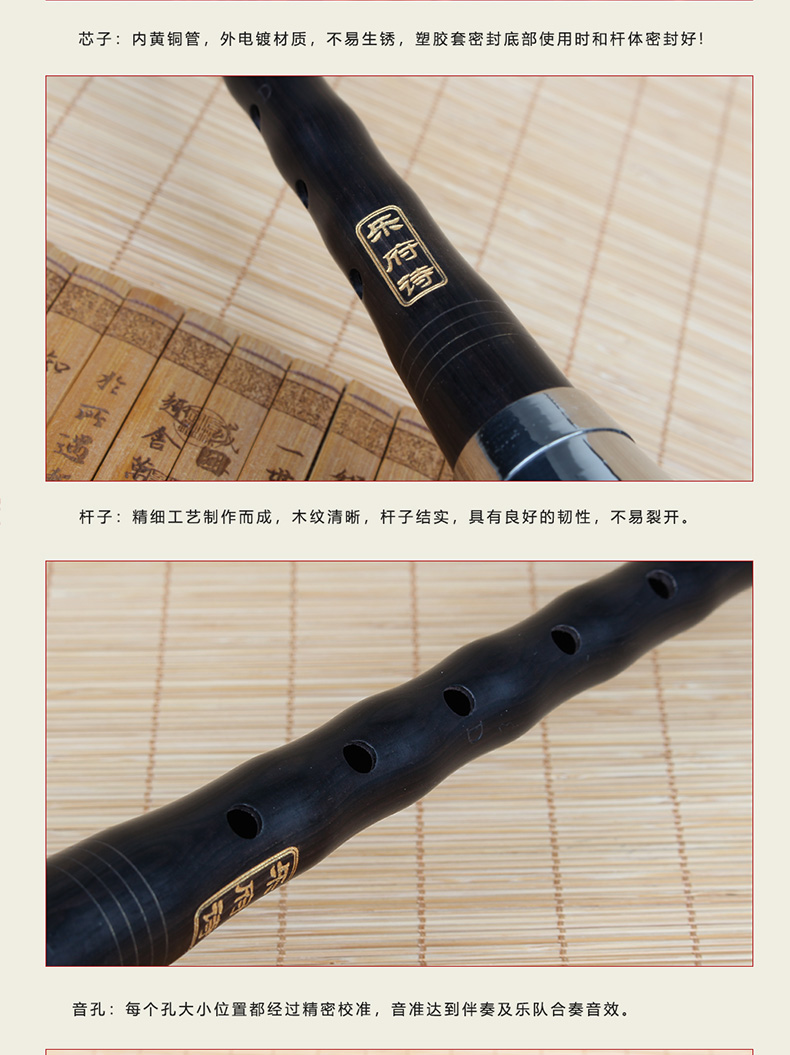 Yuefu thơ chuyên nghiệp mun mun dụng cụ pipa Một giọt BC thả EFD điều chỉnh người mới bắt đầu nhập hiệu suất chuyên nghiệp - Nhạc cụ dân tộc đàn tranh việt nam