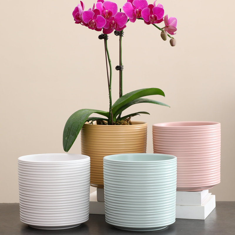 Nordic Minimalist Ceramic Flower Pot, Large Size for Home Use, with Stand, Specifically for Phalaenopsis Orchids, Trendy for Tiger Tail Plants and Succulents