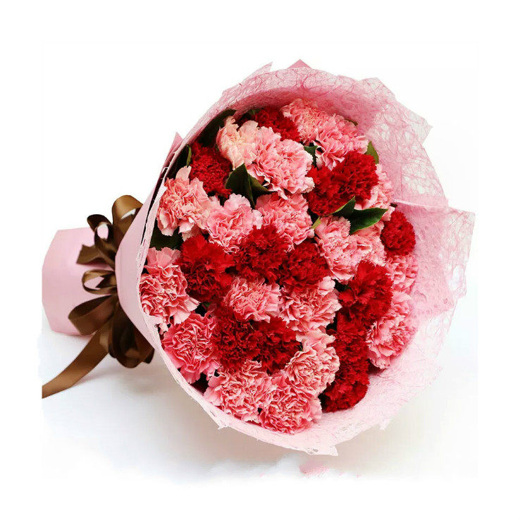 Carnation's Fujian Xiamen Municipal Jimei Siming Xiang'an Lake in Tongan Shops With Fresh Flower Shop Express Flowers in Tongcheng District