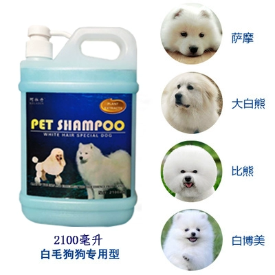 Sữa tắm gội sạch và khử mùi cho chó cưng Sữa tắm Samoyed Bichon Teddy Golden Retriever - Cat / Dog Beauty & Cleaning Supplies