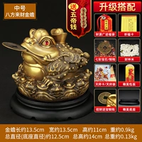 Середина -Node Baying Cai Caijin Toad