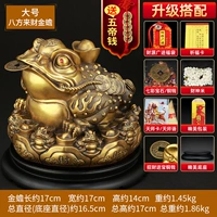 Большая байейская Cai Cai Golden Toad