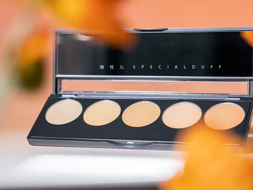 Все может быть покрыто!Голливудские секретные секреты кинотеатра5 Color Concealer № 1