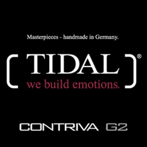 TIDAL AUDIO 中国企业店