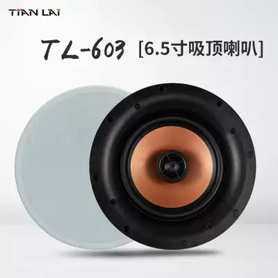 Teana family background music embedded hanging ceiling audio coaxial fixed resistance heavy bass top speaker TL-JX603