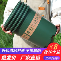 Changsheng plastic chunky gallon flower pot green radish rose large net red clearance special clearance factory direct sales