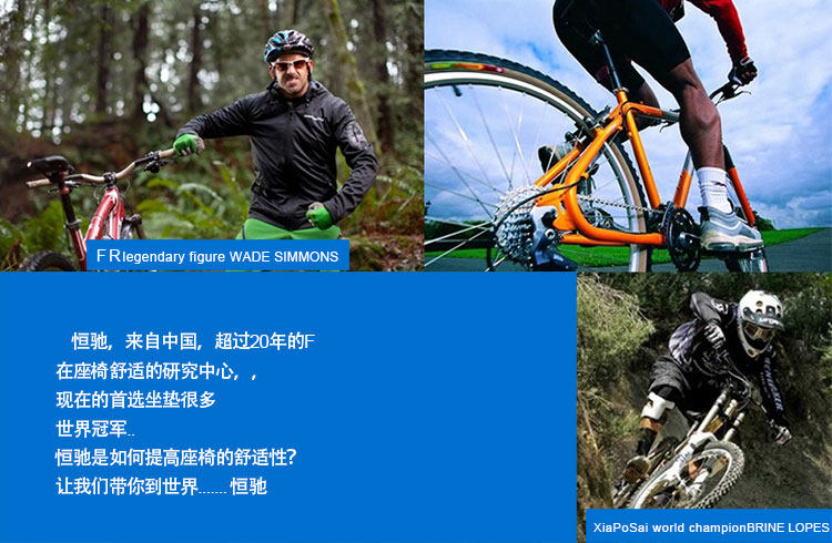 Selle de vélo - Ref 2346370 Image 3