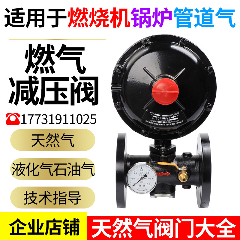Gas pressure reducing valve Pressure regulating valve Gas pressure regulating valve Liquefied gas pressure regulating valve RTZ-F burner boiler