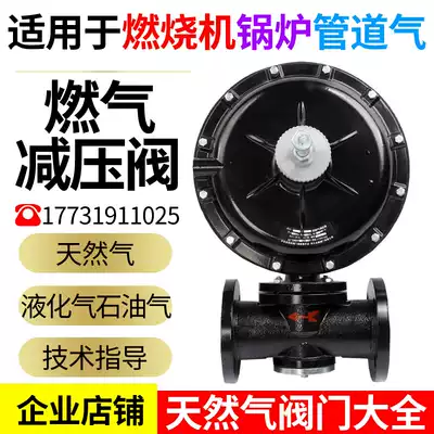 Gas pressure reducing valve Industrial pressure regulating valve Gas pressure regulating valve Gas pressure regulating valve RTZFQ burner boiler