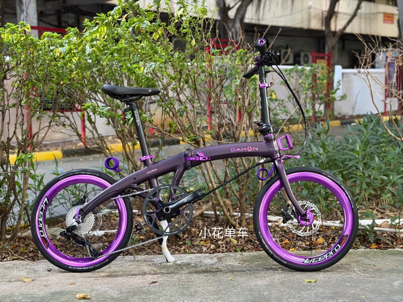 Dahon 20inch P10 Ultra-Light Variable-Speed Folding Bike 10-Speed Student Unisex Paa003 Oil Brake Version Dahon 20inch P10 Ultra-Light Variable-Speed Folding Bike 10-Speed Student Unisex Paa003 Oil Brake Version