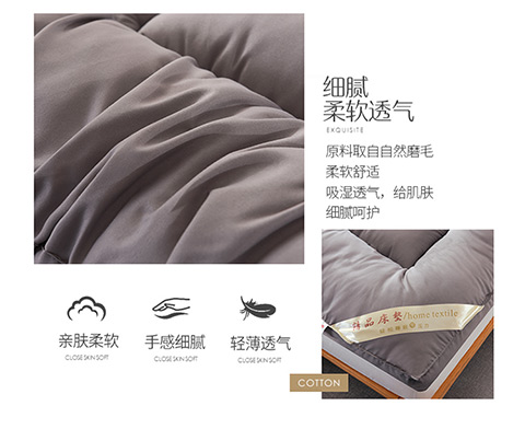 10cm dày đệm tatami nệm trong một 1.8m giường 2m đôi nệm 1,5m đơn ký túc xá 1.2 - Nệm nệm ngủ trải sàn