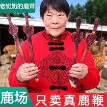 Granny real deer whip dried whole root pruning thread clear Jilin breeding bubble wine preparation for pregnant men to improve sperm