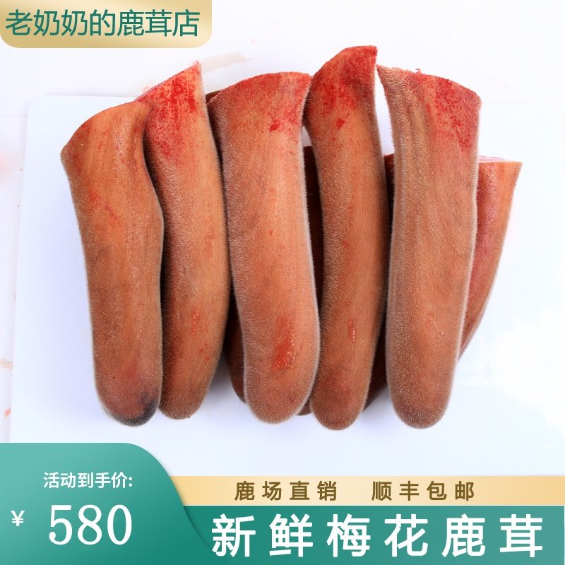 Old Grandma Deer Farm Plum Blossom Antler Whole Branches Whole Root of Wine Stubble stubble fresh slice with blood antler head Jilin Shuangyang deer-Taobao