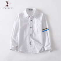 Boy cotton white shirt long sleeve 2019 spring and autumn new small children cotton coat childrens casual shirt tide