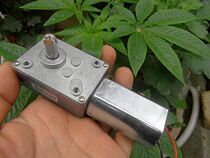 Double ball bearings 545 worm gear slow motor slow large torque DC 12V 20 turn DIY