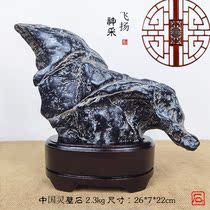 Natural Stone Wall stone ornaments strange stone office stone Taihu Stone Taishan Stone Town daring to be Bai Lingnafu