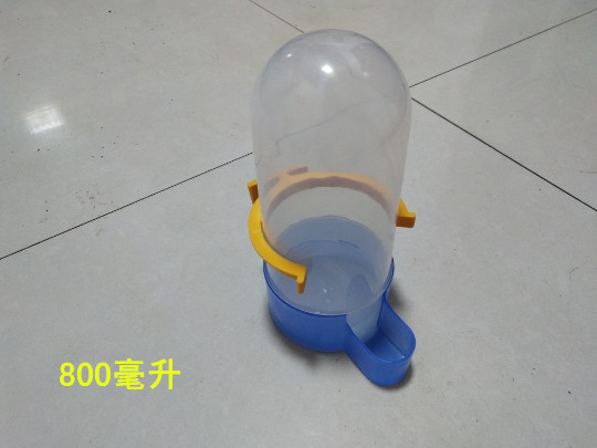 Những con chim bồ câu rất phổ biến và quay trở lại. Nước uống tự động, vẹt, bồ câu, sáo, thiết bị cho chim ăn, ấm đun nước - Chim & Chăm sóc chim Supplies lồng avi