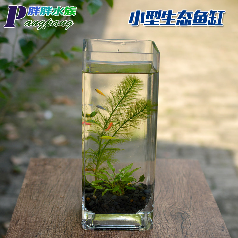 Ecological fish tank glass small desktop household aquarium lazy free water ecological fish tank water grass microlandscape