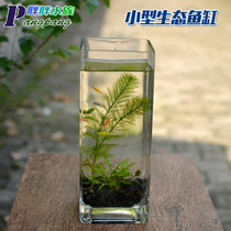 Ecological Fish Tank Glass Small Desktop Home Water Group Sloth Free Water Ecology Fish Tank Water Grass Micro Landscape