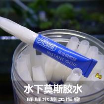 Water group Instant Gum Water Grass Gum Moss Gum Water Group Glue Fish Tank Coral Glue Moss Gum Moss Gel 4g
