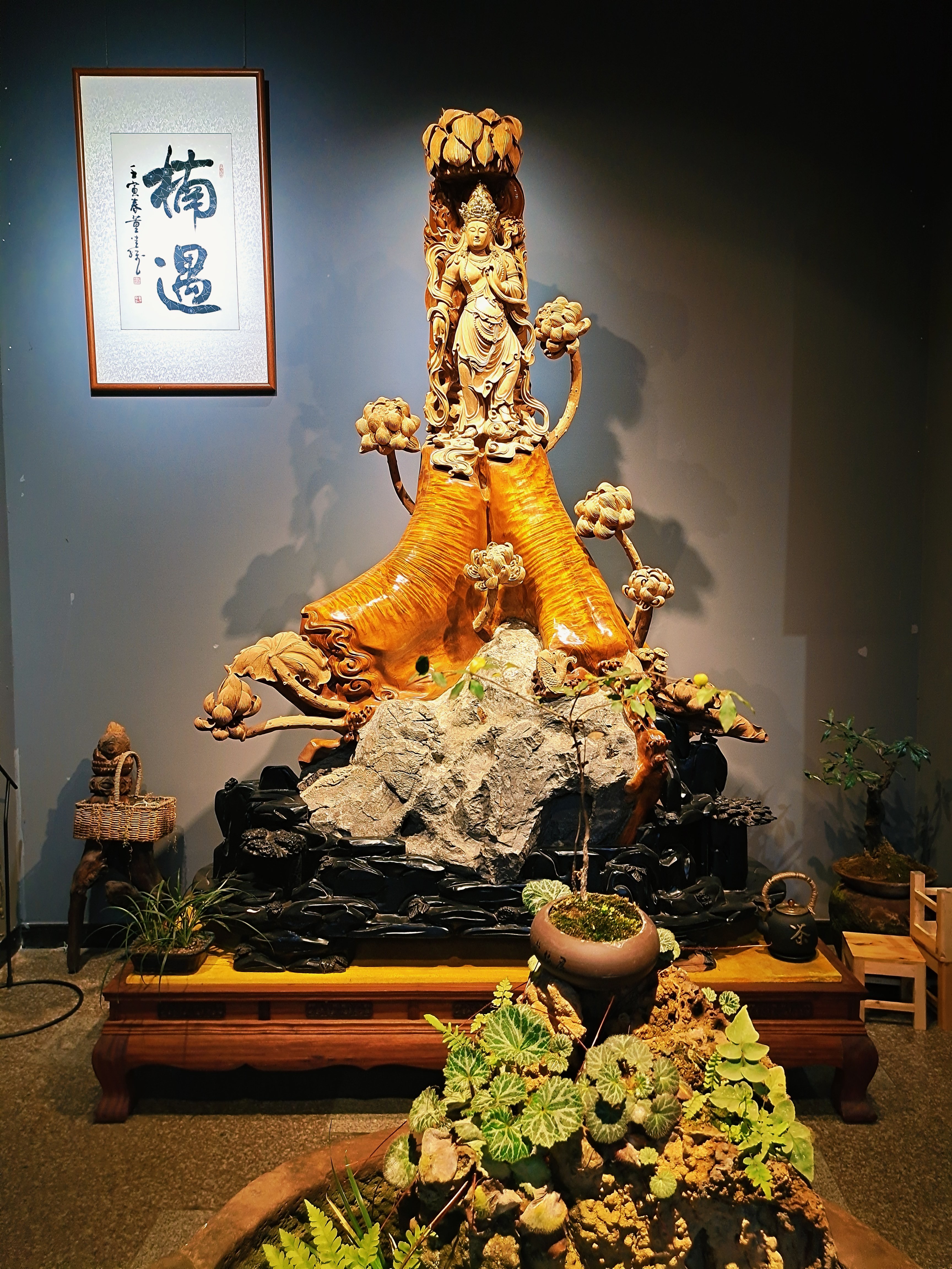 楠遇金丝楠