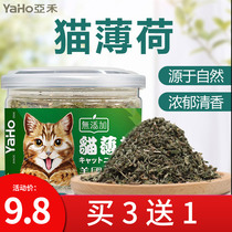 Catnip promotes appetite Hairball excretion Healthy stomach Estrus decompression 250ml cat snack canned cat grass